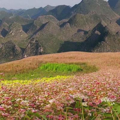 HÀ GIANG-CAO BẰNG -BẮC KẠN 6 NGÀY